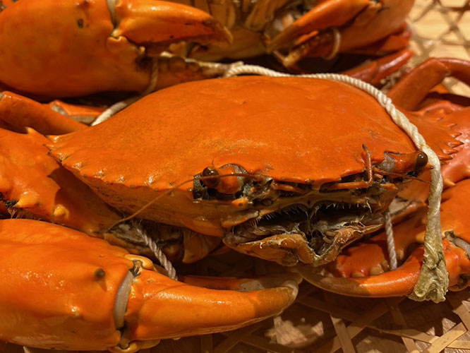 おぶねのお料理